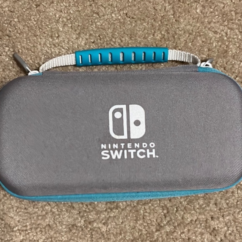 Nintendo Switch Lite case